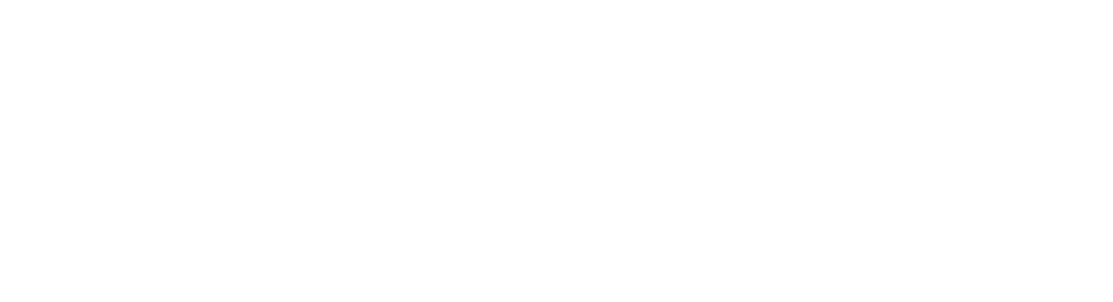 Logo principal ImsCloud en blanc