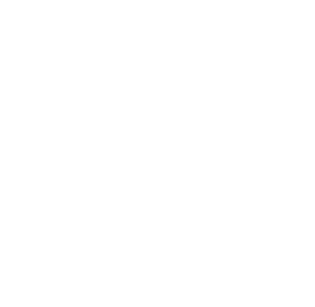 Icône blanche localisation ImsCloud en France
